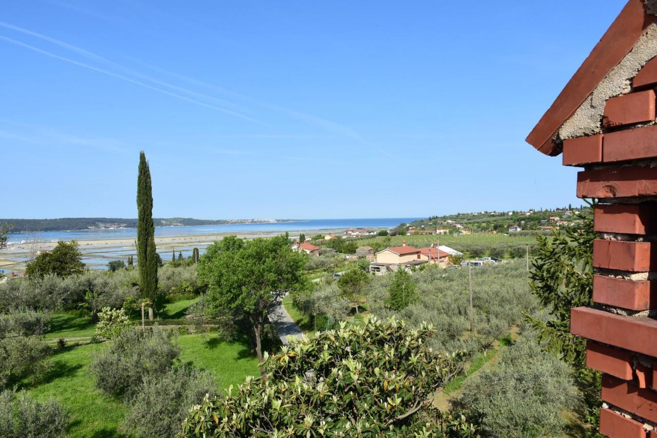 Apartment Pergola Πορτορόζ Εξωτερικό φωτογραφία