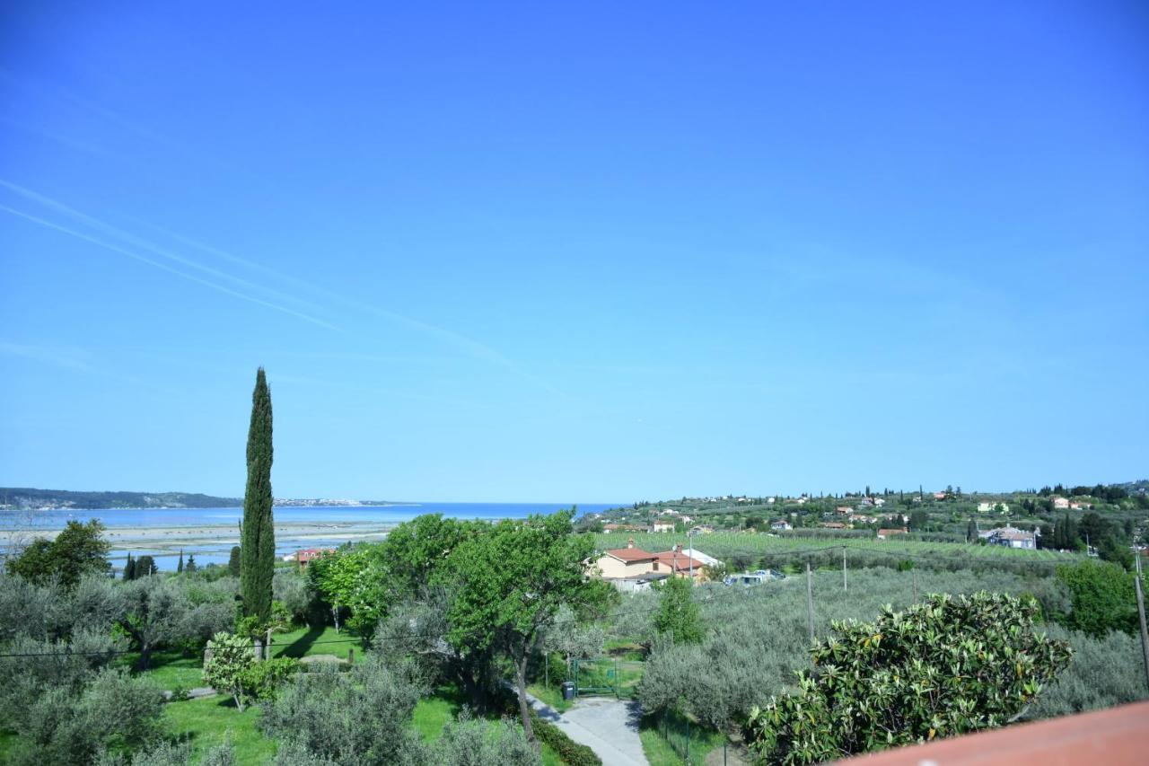 Apartment Pergola Πορτορόζ Εξωτερικό φωτογραφία