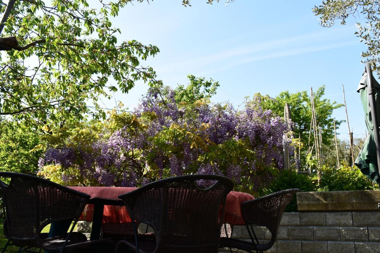 Apartment Pergola Πορτορόζ Εξωτερικό φωτογραφία